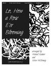 Lo How a Rose E'er Blooming
